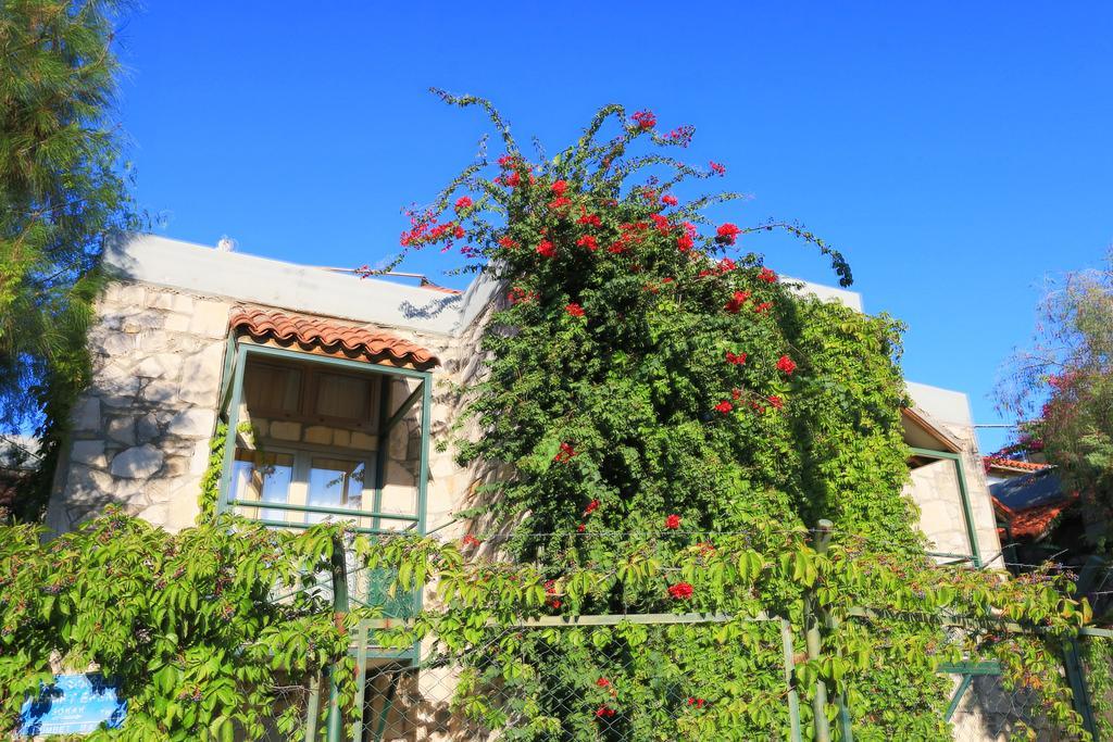 Green House Apart Hotel Gümbet Εξωτερικό φωτογραφία